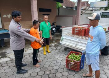 Maling Jeruk di Desa Buluagung Ditangkap Warga, Berakhir di Ruang Tahanan Polsek Purwoharjo