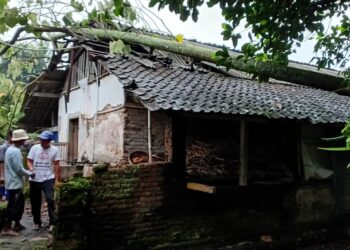 Pohon Lapuk Timpa Rumah Warga Yosomulyo, Petugas Gabungan Turun Tangan