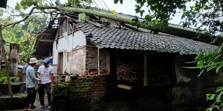 Pohon Lapuk Timpa Rumah Warga Yosomulyo, Petugas Gabungan Turun Tangan