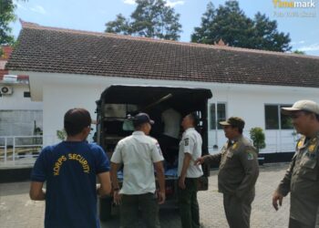 Kerap Ganggu Warga di Sawah, Perempuan ODGJ Ditertibkan Satpol PP Banyuwangi