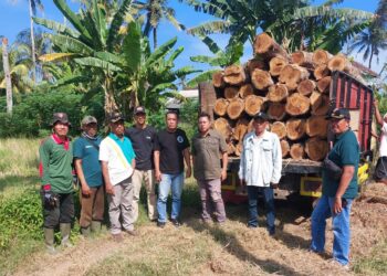 Perhutani KPH Banyuwangi Selatan Amankan 57 Batang Kayu Jati Ilegal di Dusun Ringinsari