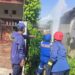 Warga Sukowidi Keluhkan Gatal-gatal, Damkarmat Banyuwangi Semprotkan Insektisida di Pohon Alpukat Sarang Ulat Bulu