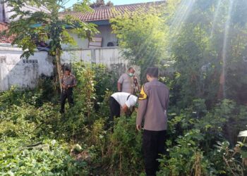 Penemuan Mayat Laki-laki di Belakang Kantor MUI Banyuwangi, Polisi Ungkap Identitas Korban