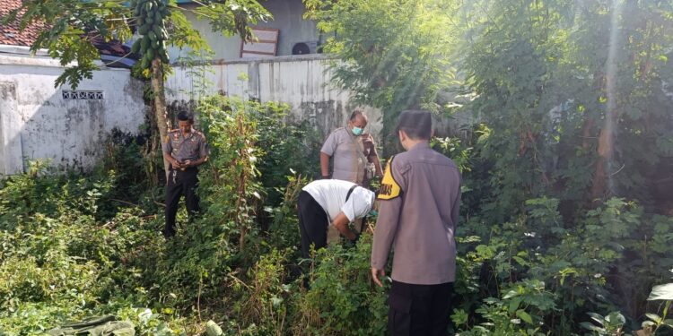 Penemuan Mayat Laki-laki di Belakang Kantor MUI Banyuwangi, Polisi Ungkap Identitas Korban