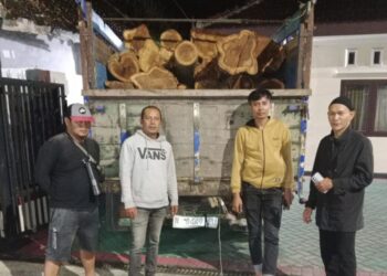 Tujuh Tersangka Lancarkan Aksi Pencurian Kayu Jati di Hutan Produksi Perhutani, Dua Orang Diringkus Polisi