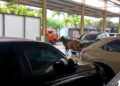 Sapi Kurban Kabur dan Masuk ke Dalam Showroom, Petugas Damkarmat Banyuwangi Lakukan Evakuasi
