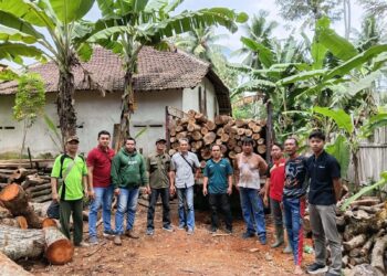 Kayu Jati Ilegal Sejumlah 235 Batang Ditemukan di Desa Sukorejo Banyuwangi