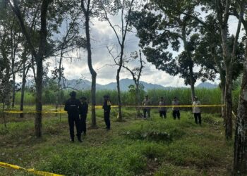 Benda Berbahaya Diduga Granat Ditemukan di Kebun Karet Kendenglembu Glenmore, Tim Komposit Gegana Sat Brimob Polda Jatim Lakukan Pemusnahan