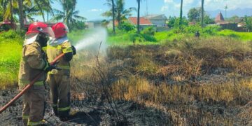 Akibat Sisa Pembakaran Sampah, Lahan Kosong yang Dipenuhi Ilalang dan Rumput Kering Hangus Terbakar