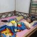 Gempa Bumi Guncang Banyuwangi, Rumah di Buluagung Ambruk Timpa Satu Keluarga
