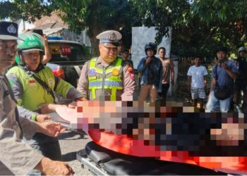 Diduga Mengantuk, Pengendara Motor Tabrak Pohon di Jalur Banyuwangi – Rogojampi