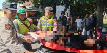 Diduga Mengantuk, Pengendara Motor Tabrak Pohon di Jalur Banyuwangi – Rogojampi