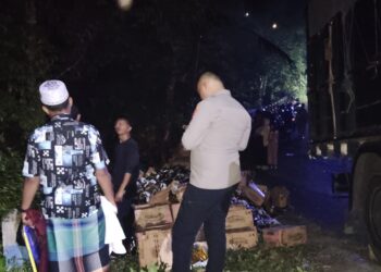 Tidak Kuat Nanjak, Truk Pengangkut Bantuan Pangan di Banyuwangi Terperosok ke Jurang