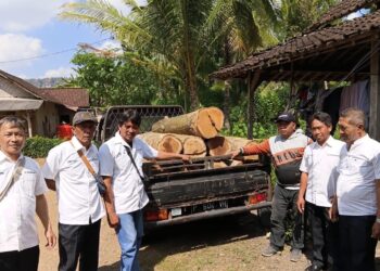Diduga Hasil Pembalakan Liar, Belasan Batang Kayu Jati Tak Berpemilik Diamankan di Siliragung